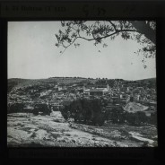 Böhl glass slide 61./1577